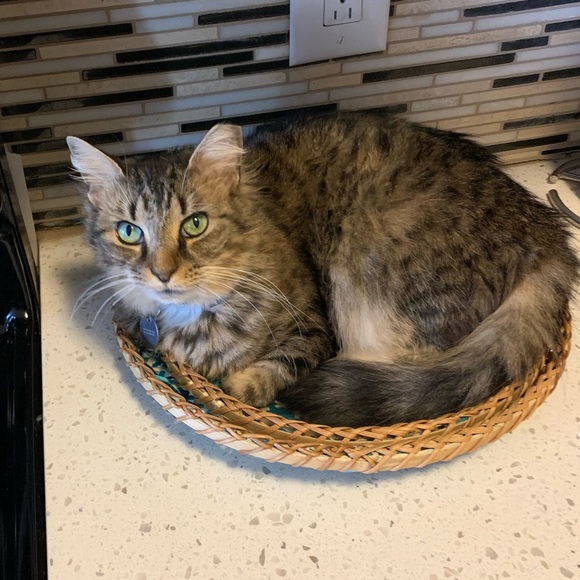 Meet your Posher, Ilene - Picture 2 of 2